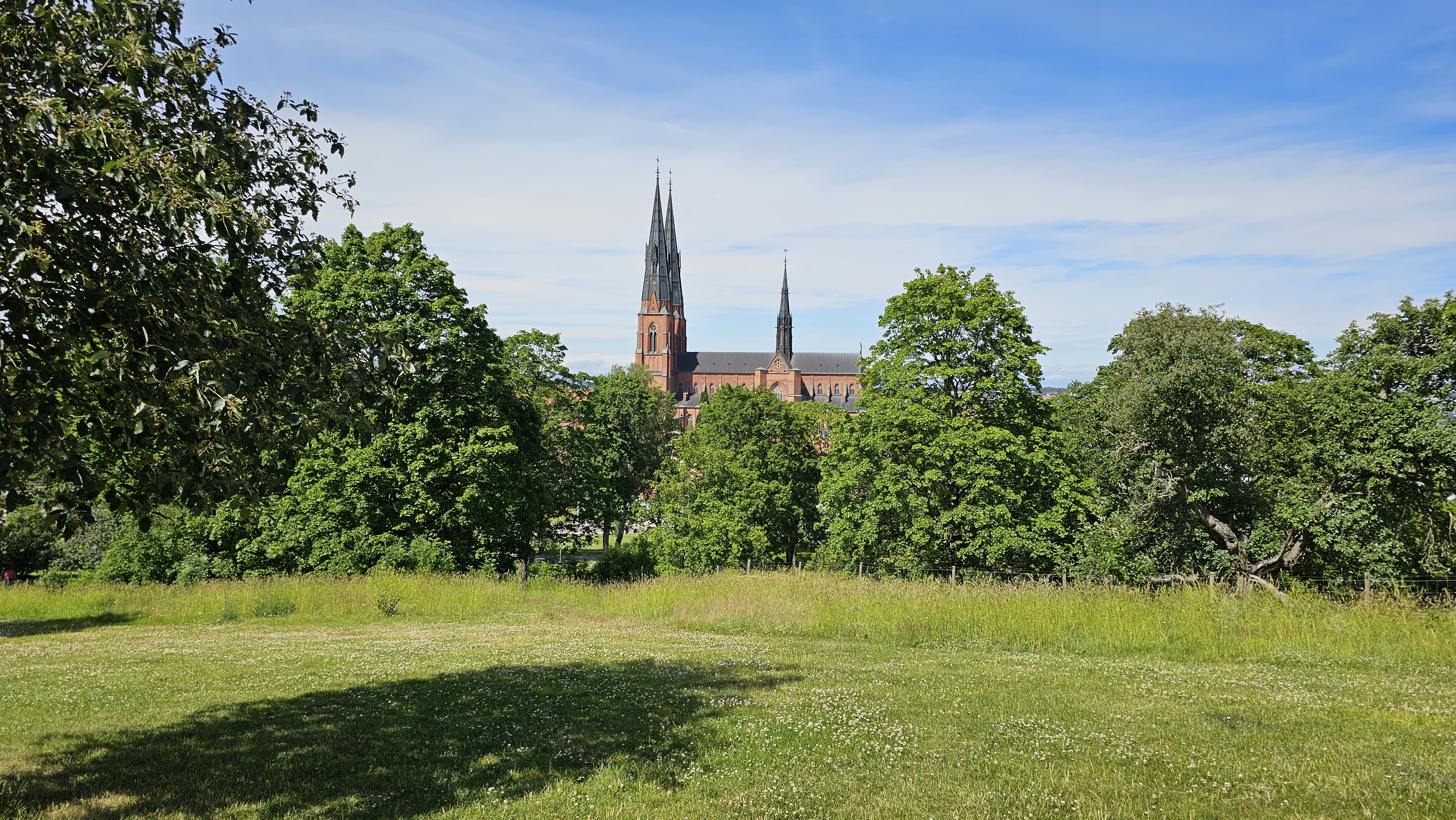 20250702_143218 - Kopie.jpg
